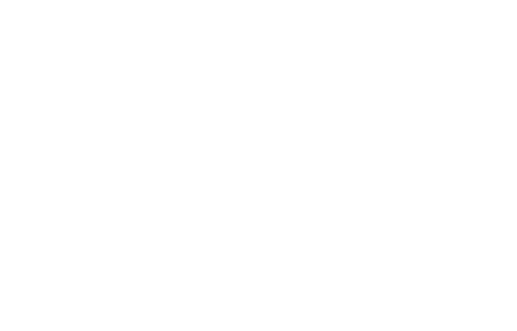 Morrow Logo